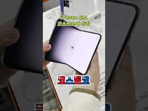 코스트코 신규 입고 아이폰 듀오 256GB 스타화이트 놓치면 후회하는 이유