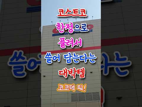 코스트코, 헬리녹스 체어 2 특별 할인! 캠핑 의자 득템 찬스