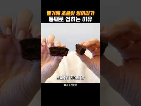 이마트 트레이더스 베이커리 초콜릿브라우니 직접 먹어보니 역대급인 이유