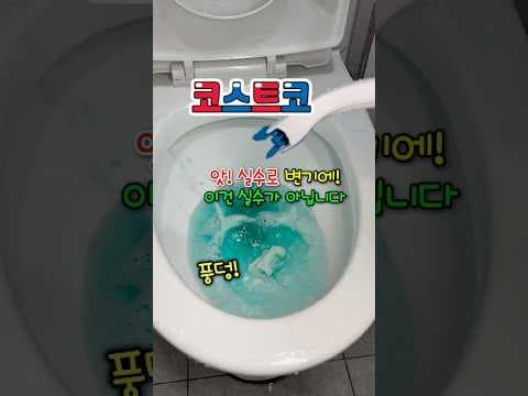 지금 알아둘 코스트코청소용품 추천 스크러빙버블 화장실청소 젤스탬프