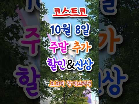 코스트코 네파 재킷부터 헬리녹스 의자까지 지금 사야 할 캠핑용품 추천