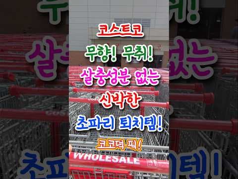 코스트코 에프킬라 라이트트랩2.0, 초파리 퇴치 최강템 할인 놓치지 마세요!