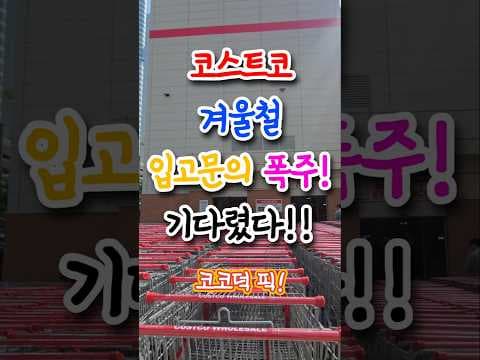 지금 알아둘 코스트코 보이러전기요 겨울철필수품 추천 3가지