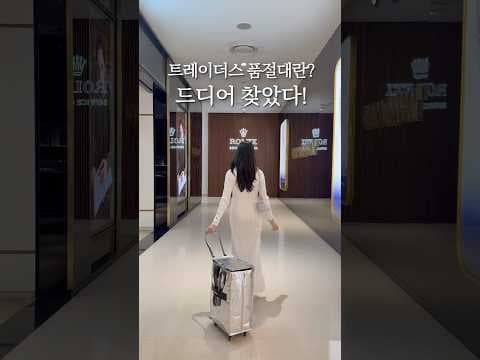 이마트 트레이더스 쇼핑, 짐 걱정 끝! 가성비 쇼핑 카트 추천