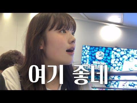 이마트 트레이더스 추천 식품: 코카콜라, 젤리, 치킨, 고기까지 알차게!