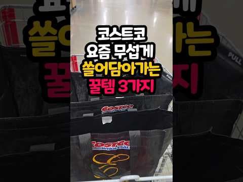 코스트코 쇼핑 필수템: 바삭한 사과칩 & 풍미 가득 이즈니 버터