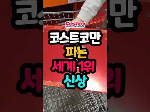 코스트코 정관장 활삼면역 성분 보고 바로 담았어요! 환절기 면역력 강화