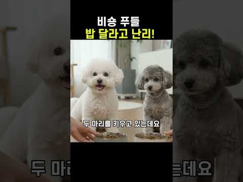 입맛 까다로운 반려견이 정착한 이마트 트레이더스 연어레시피사료
