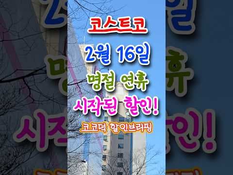 코스트코 신상 꿀조합! 스틱 올리브유, 에어컨, 명절 선물까지 한눈에