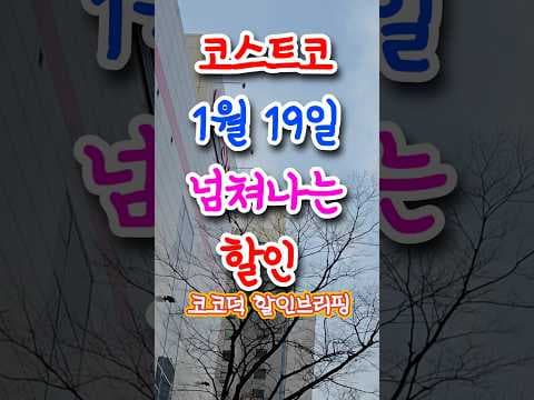 코스트코 1월 19일 할인 총정리: 정관장·보관용기·정육·수산 선물세트까지 신상 가득