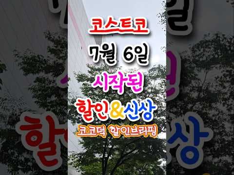 코스트코 장마철 습기 제거제 BEST3 놓치면 아쉬운 비 오는 날 필수템