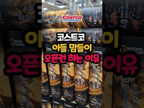 코스트코 신상 공룡 피겨와 로블록스 상품권 아이 선물로 추천