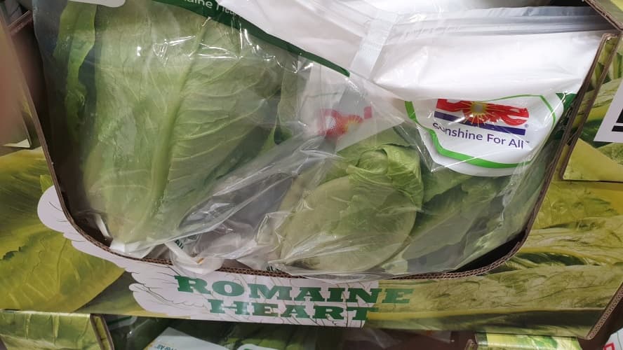 로메인 하트 (4-6입): 국내산