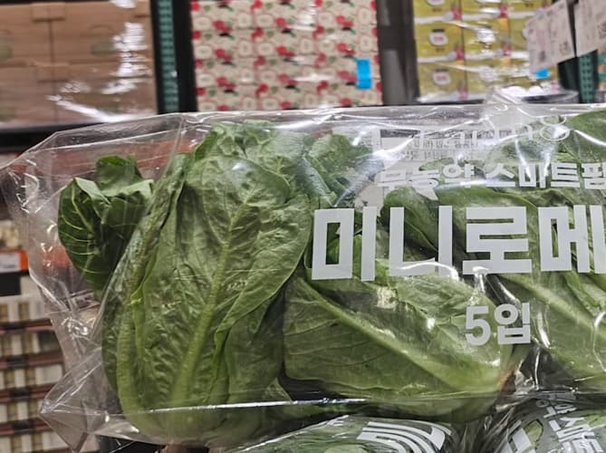 무농약 미니로메인 (5입) 원산지 : 국내