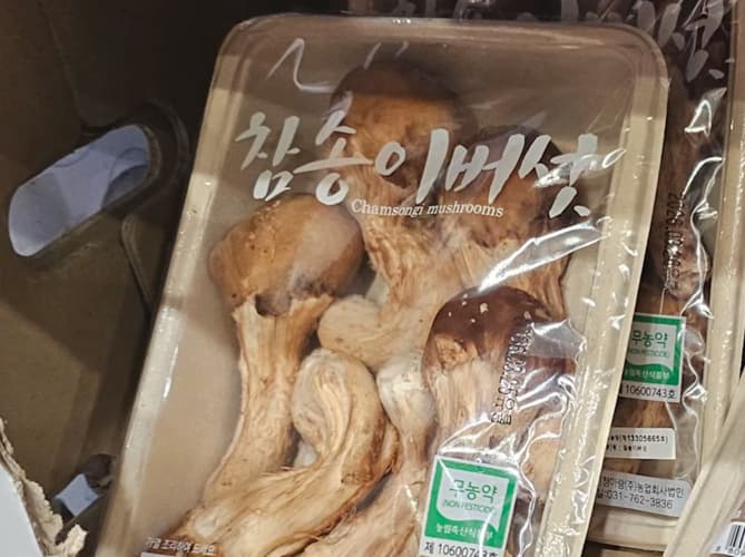 무농약 참송이버섯 (250G)