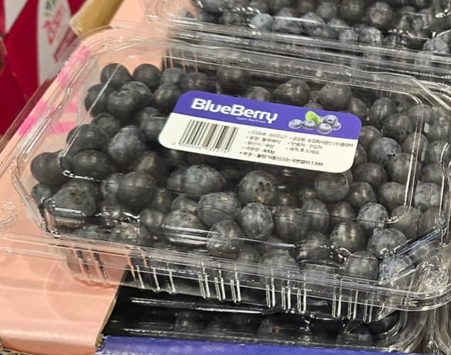 블루베리 (400G) 원산지 : 국내산