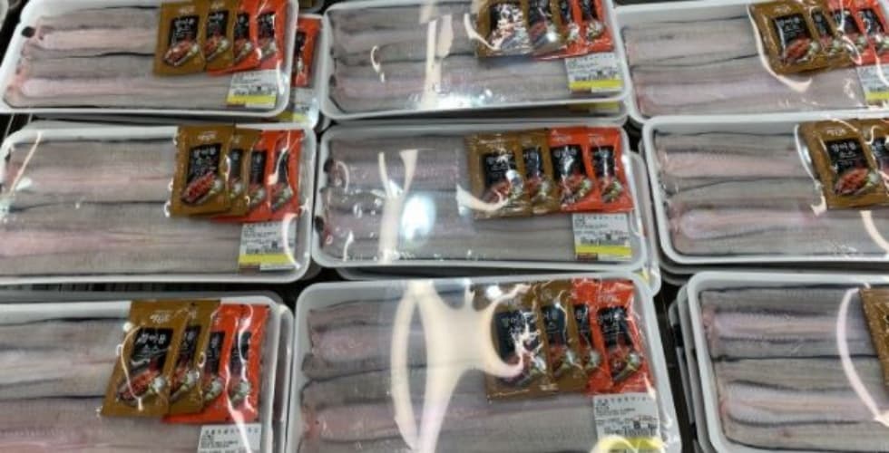 생물민물장어 장어원산지 : 국내산 KG당단가