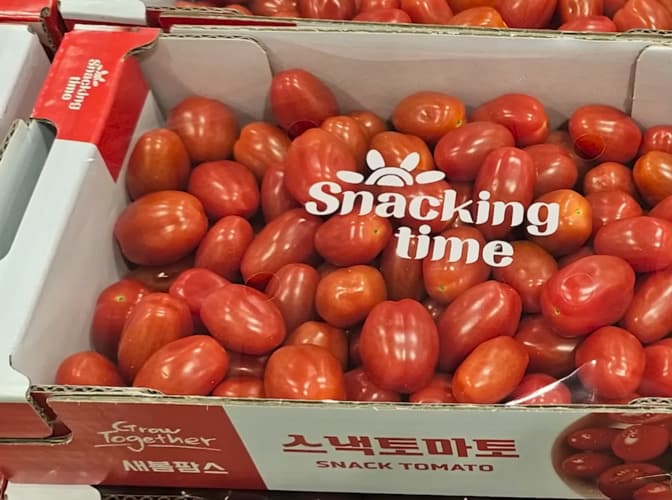 스낵 토마토 (1.2KG) 원산지 : 국내산