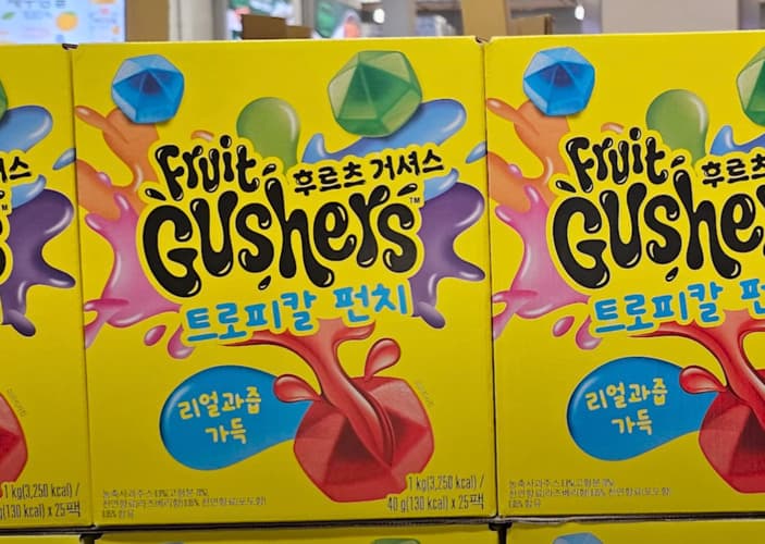 GENERAL MILLS 후르츠거셔스젤리 1000G/ 40G X 25
