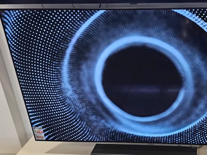 LG OLED TV 65형 163CM