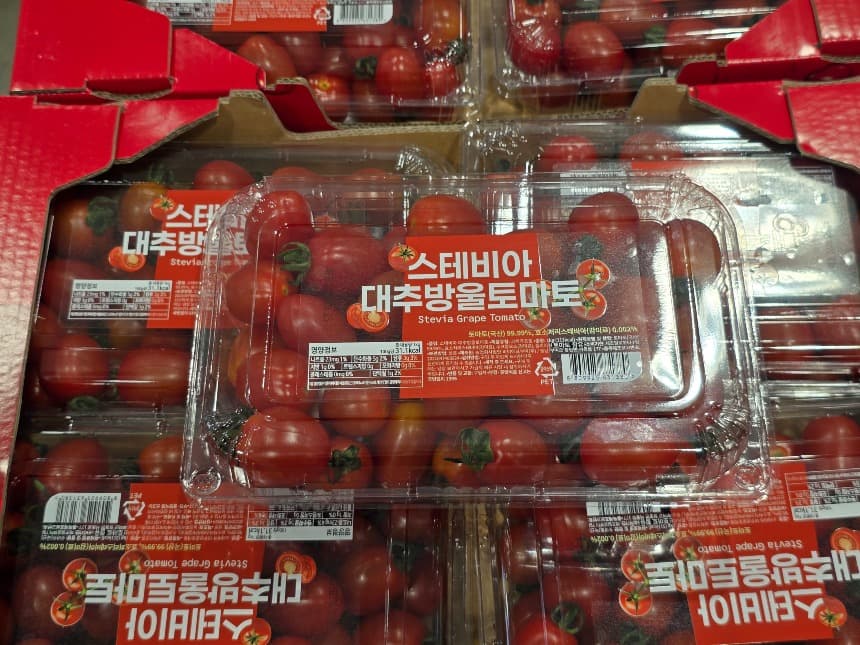 코스트코 스테비아 대추방울토마토 이렇게 먹으니 순삭! 토마토 레시피 추천