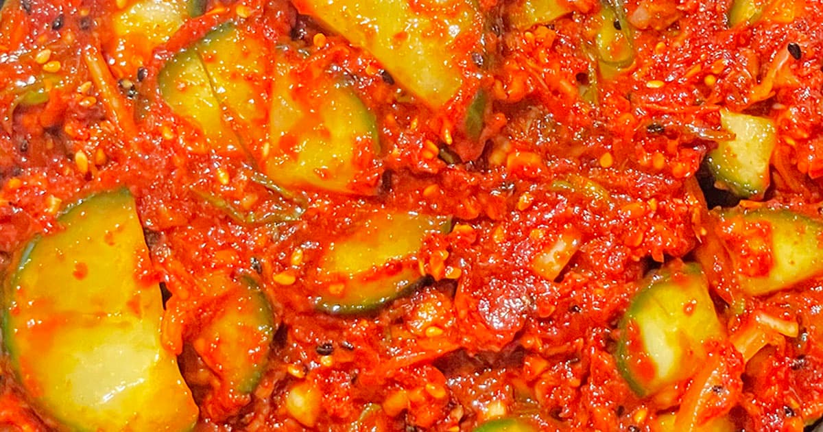 코스트코 여름 오이소박이 신상 김치 아삭한 맛에 바로 담았어요