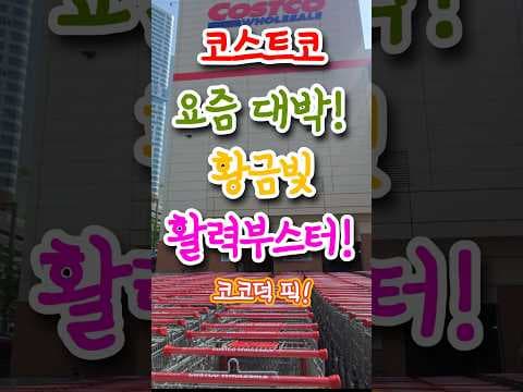 놓치면 아쉬운 코스트코 테라큐민 슈퍼커큐민 50 할인 소식