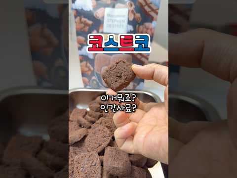 코스트코 신상! 초코비아 두바이 초코 & 벨개산 트리 쿠키, 놓칠 수 없지!